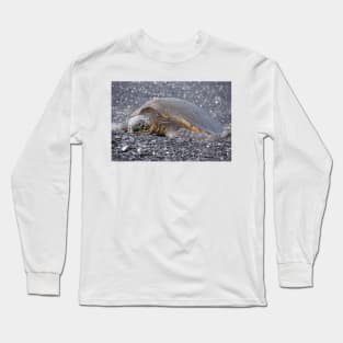 turtle Long Sleeve T-Shirt